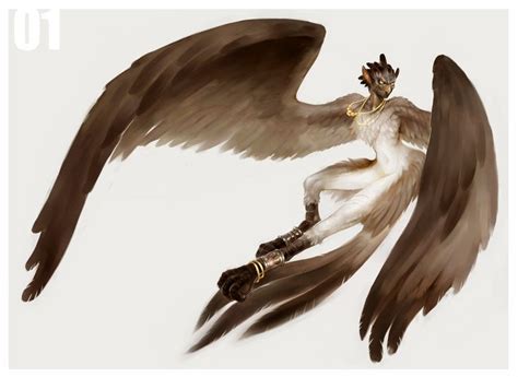 01 Harpy by wood-illustration.deviantart.com on @deviantART | ＊concept ...