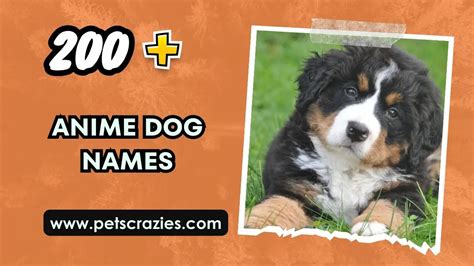 200+ Anime Dog Names - Iconic And Memorable Picks