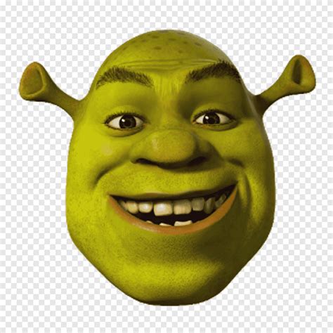 Shrek The Musical Princess Fiona Shrek 2 Shrek Film Series, shrek, face, food png | PNGEgg