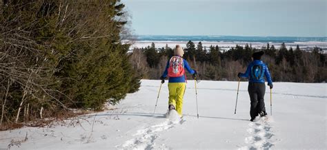 Sackville Winterfest - Town of Sackville