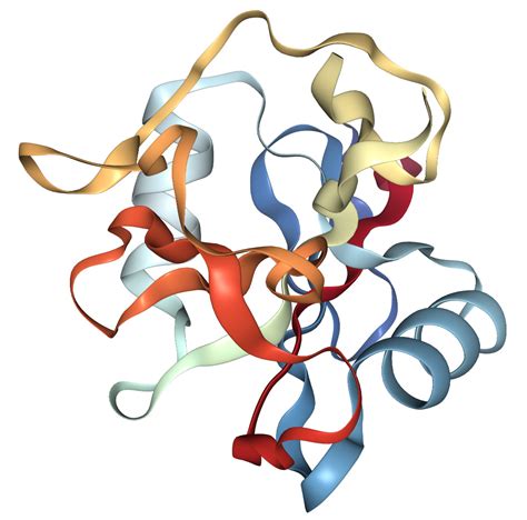 CD23 Protein Overview | Sino Biological