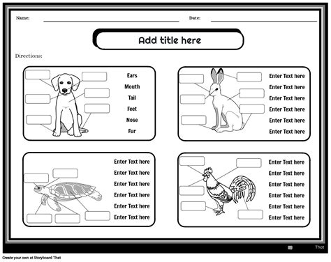 Animals Body Parts Worksheet Storyboard by templates