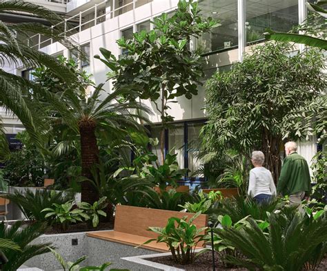 Best Examples Sustainable Office Interior Biophilic Design, 48% OFF