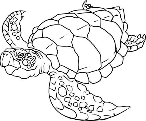 65+ Sea Creature Templates - Printable Crafts & Colouring Pages! | Free ...