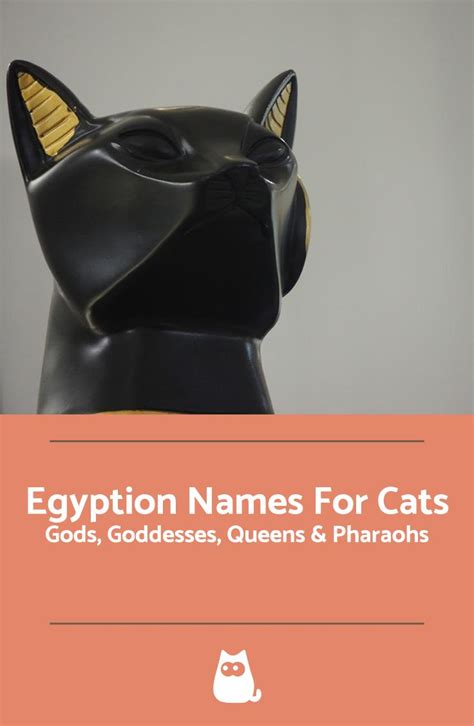 Egyption Names For Cats - Gods, Goddesses, Queens and Pharaohs | Bengal cat names, Egyptian cat ...