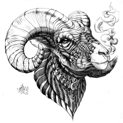 Bighorn Sheep on Behance