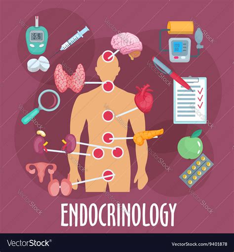 Endocrinology and endocrine system flat icon Vector Image