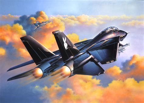 F-14A Black Tomcat (Egbert Friedl) | Fighter jets, F14 tomcat, Aircraft