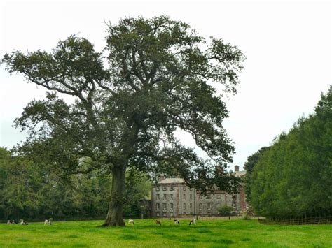 Galloway House © Andy Farrington cc-by-sa/2.0 :: Geograph Britain and ...