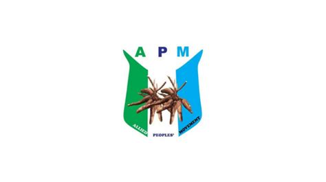 FG's approach can't end insecurity, says APM chair