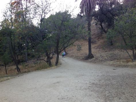 Hiking Runyon Canyon Park - SoCal Hiker