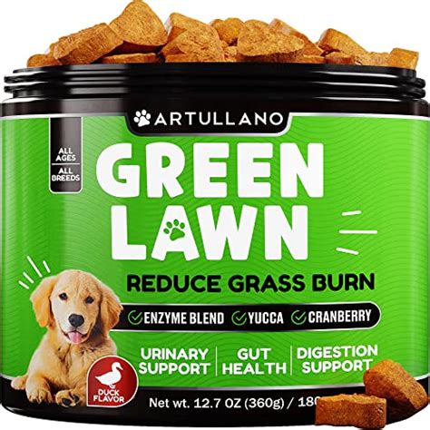 Best Grass Saver Product For Dogs In 2024