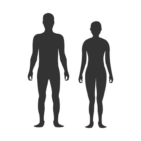 Male and female body silhouette | Healthcare Illustrations ~ Creative Market