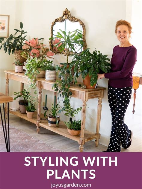 Decorating With Indoor Plants: How To Style Plants On A Table