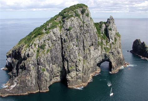 Bay of Islands Cruise Port (Waitangi Wharf) in Bay of Islands, NZL - Trip Canvas