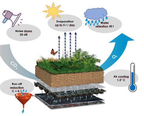 Green roofs - living green instead of dreary gravel! | Don't Waste My Energy!