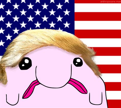 " Make blobo great again " | Blobo | Know Your Meme