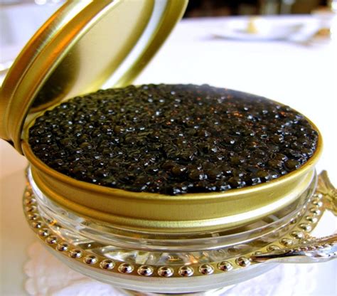 Israel behind Extinction of Caspian Sea Caviar