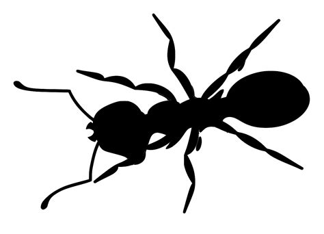 SVG > insect sting scorpion - Free SVG Image & Icon. | SVG Silh