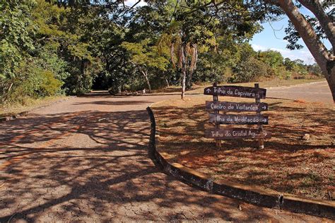 Top 10 Amazing Facts about Brasilia National Park - Discover Walks Blog