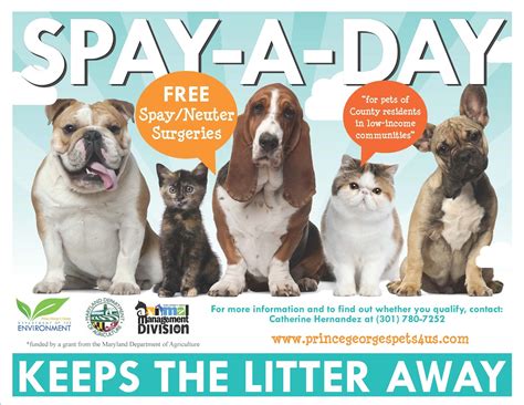 Tantallon Announcements: Free Spay/Neuter