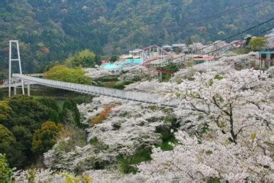 Beppu Onsen | SELECTED ONSEN RYOKAN | best in japan, private hot spring ...