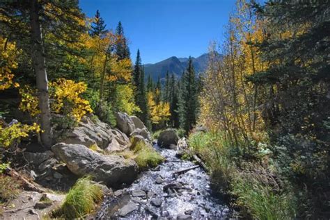 7 Things to Do: Fall in Rocky Mountain National Park