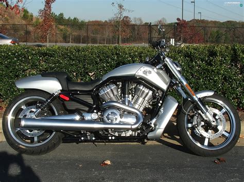 Harley Davidson V-Rod Muscle, silver, motor-bike - Motorbikes wallpapers: 1920x1440