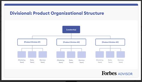 7 Organizational Structure Types (With Examples) – Forbes Advisor