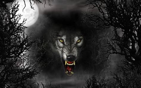 Cool Fire Wolf Wallpapers - Top Free Cool Fire Wolf Backgrounds ...