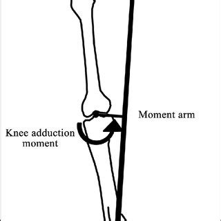 Knee adduction moment graph during stance phase of the gait cycle. | Download Scientific Diagram