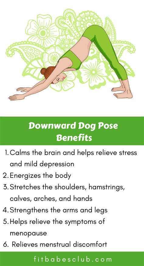 Master Downward Dog Pose and Reap the Benefits