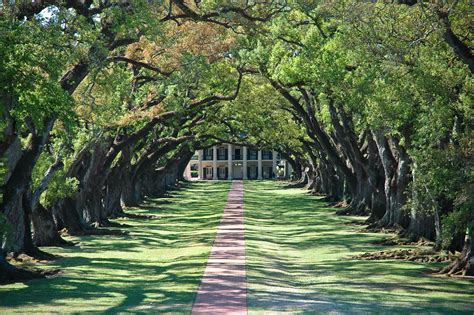 Louisiana - Agriculture, Oil, Manufacturing | Britannica