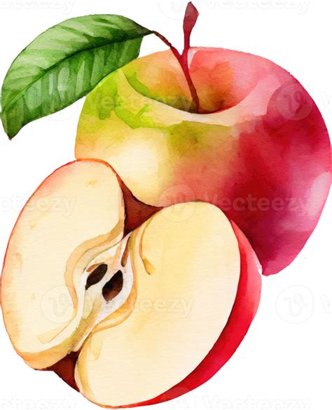 Sliced Red Apple Watercolor 21183378 PNG