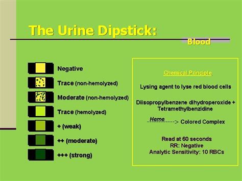 Difference Between Hemolyzed And Non Hemolyzed Blood In Urine 50+ Pages Summary [2.8mb ...