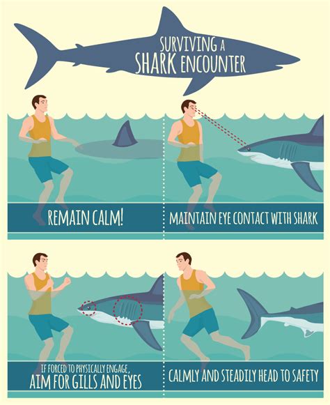 Learn How to Handle a Shark Encounter | Fix.com