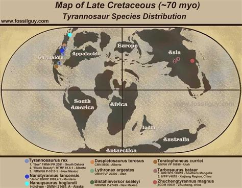 Late cretaceous map showing tyrannosaur distribution | Dinosaur, Walking with dinosaurs ...