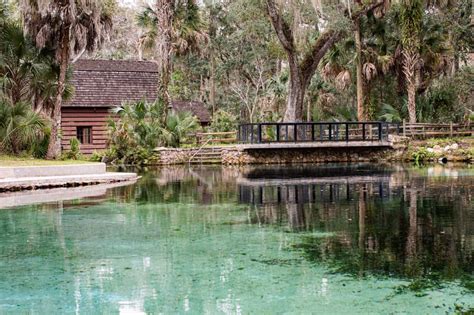 17 Fun Things To Do In Ocala Florida - Florida Trippers