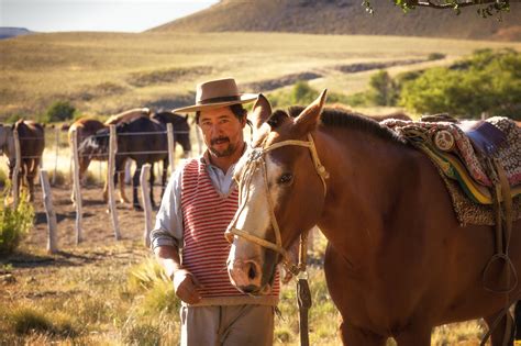 Gaucho