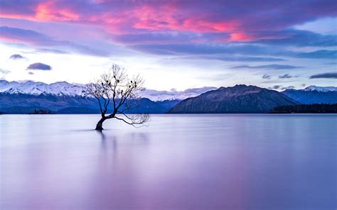 1920x1200 Resolution New Zealand Lake View 1200P Wallpaper - Wallpapers Den