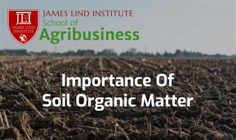 The Importance of Soil Organic Matter | JLI Blog