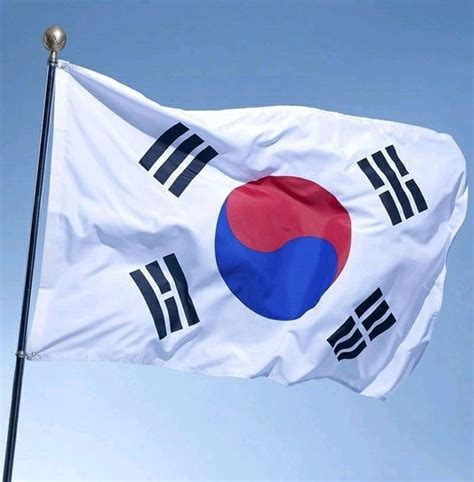 Jual Bendera Korea Selatan International Flag National Flag Of South ...