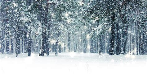 Winter holiday background, nature scenery with shiny snow and co ...