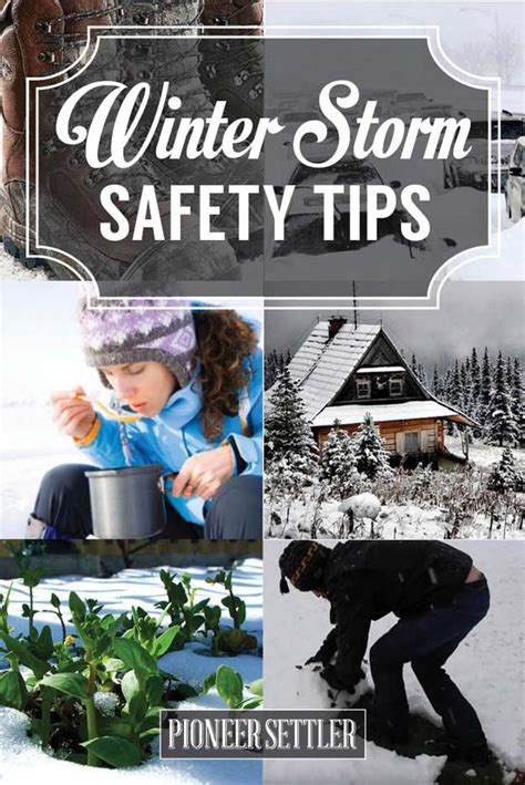 Winter Storm Preparedness | Infographic | Homesteading | Winter storm ...