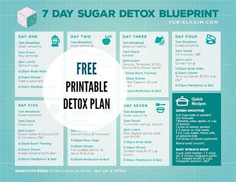 Sugar Detox Plan: A 7-Day Blueprint for Quitting Sugar | Yuri Elkaim