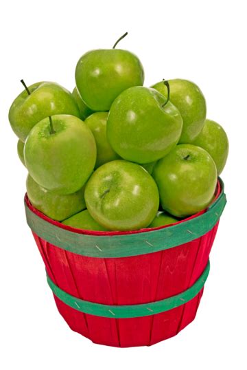 Bushel Of Apples PNG, Vector, PSD, and Clipart With Transparent ...