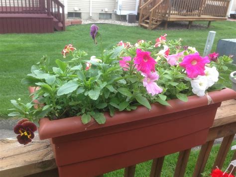 Deck flower box. | Deck flower boxes, Railing flower boxes, Railing planter boxes