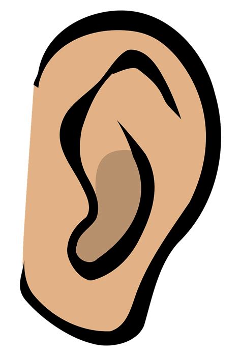 ear clip art 17 free Cliparts | Download images on Clipground 2024