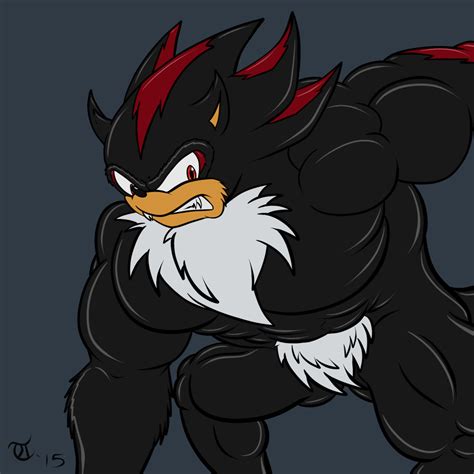 Edgy x2 - Shadow the Werehog by GoldPaladinSevlow on DeviantArt