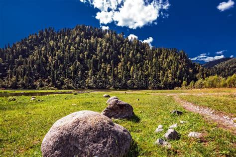 Mountains with the Siberian Taiga. Altai Republic, Siberia, Russia Stock Photo - Image of spruce ...